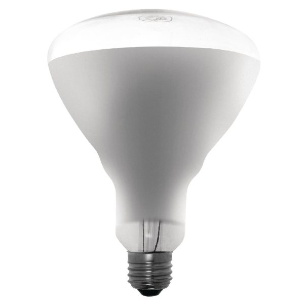 ae307 foodwarmerbulb