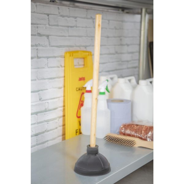 cg047 plunger new 1503